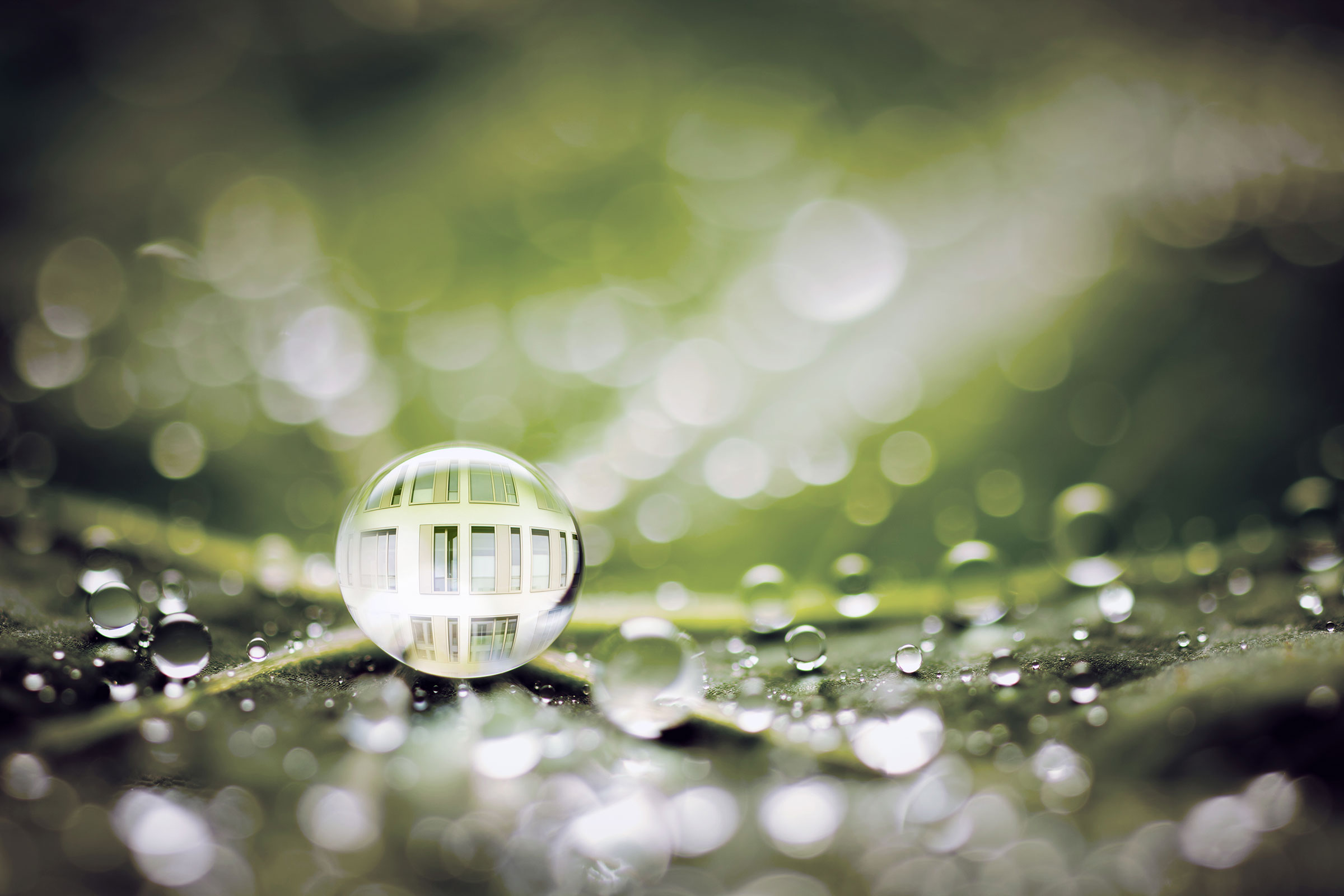 Biomimetika ve Sto: kapky vody na zeleném listu, biomimetické fasádní barvy