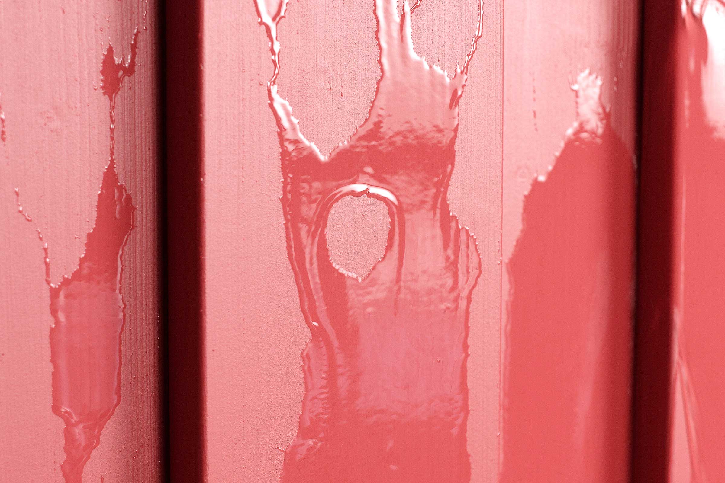 Dřevěná fasáda natřetá fasádní barvou StoColor Dryonic Wood